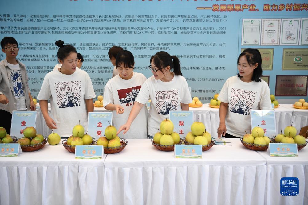 澳门网上堵场娱乐唯一